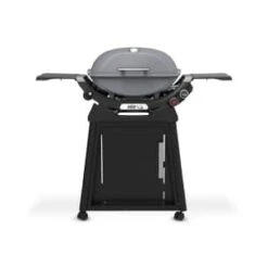 Weber Q2800N W/Stand Gas Grill Smoke Grey (Lp Only)