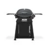 Weber Q2800N W/Stand Gas Grill Charcoal Grey (Lp Only) -Johnstone's Sales Shop 1500393 ba rgb