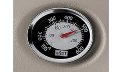 Weber Thermometer Q US 14