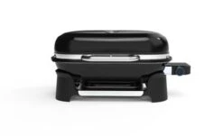 Weber Lumin Compact Black
