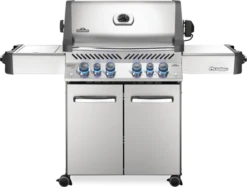 Napoleon Prestige Series S/S Rear Burner Ir SB